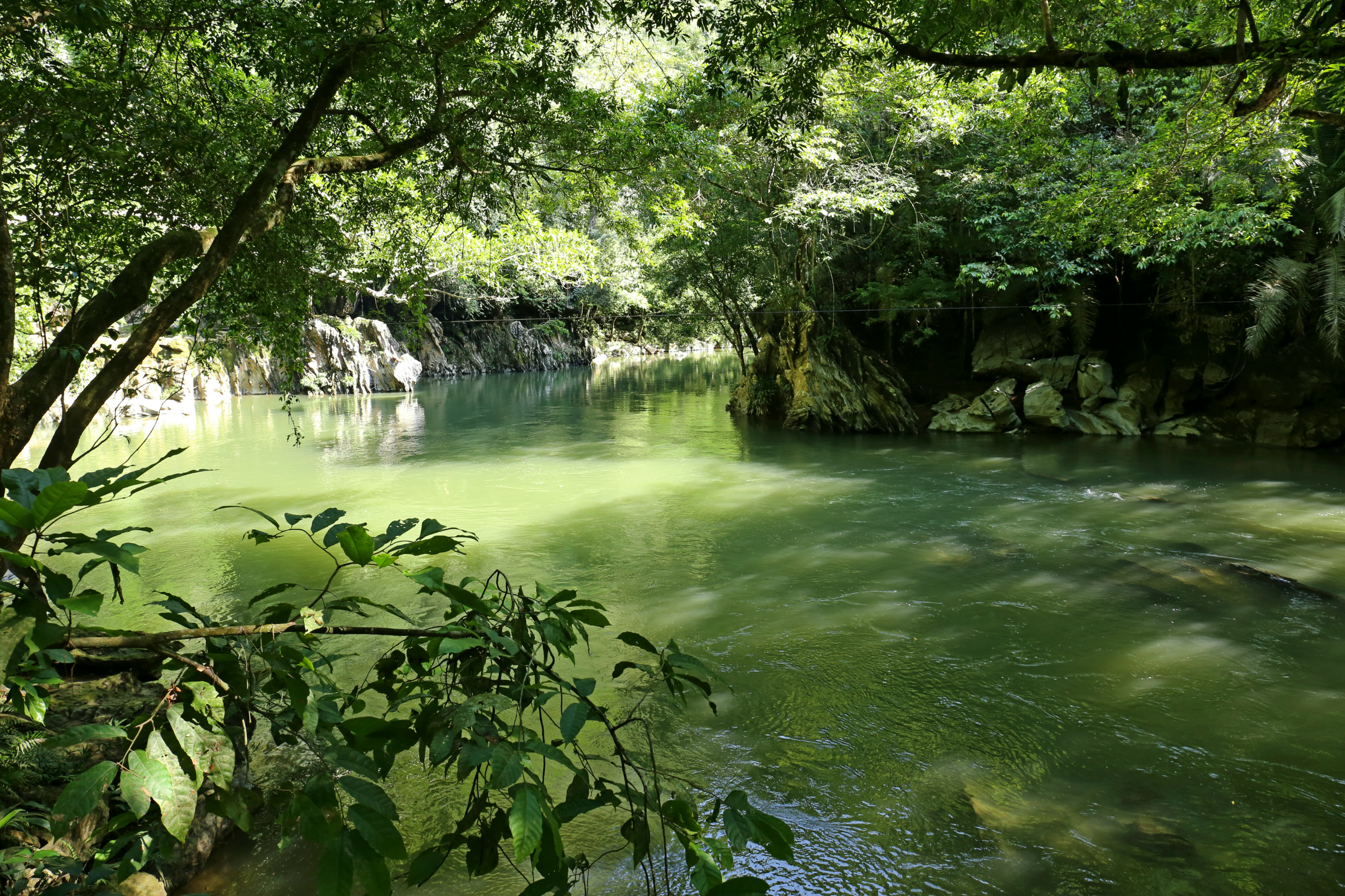 punta rio claro national wildlife refuge (2).webp